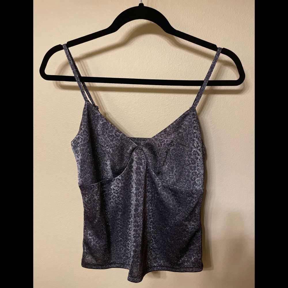 Wild Fable metallic top